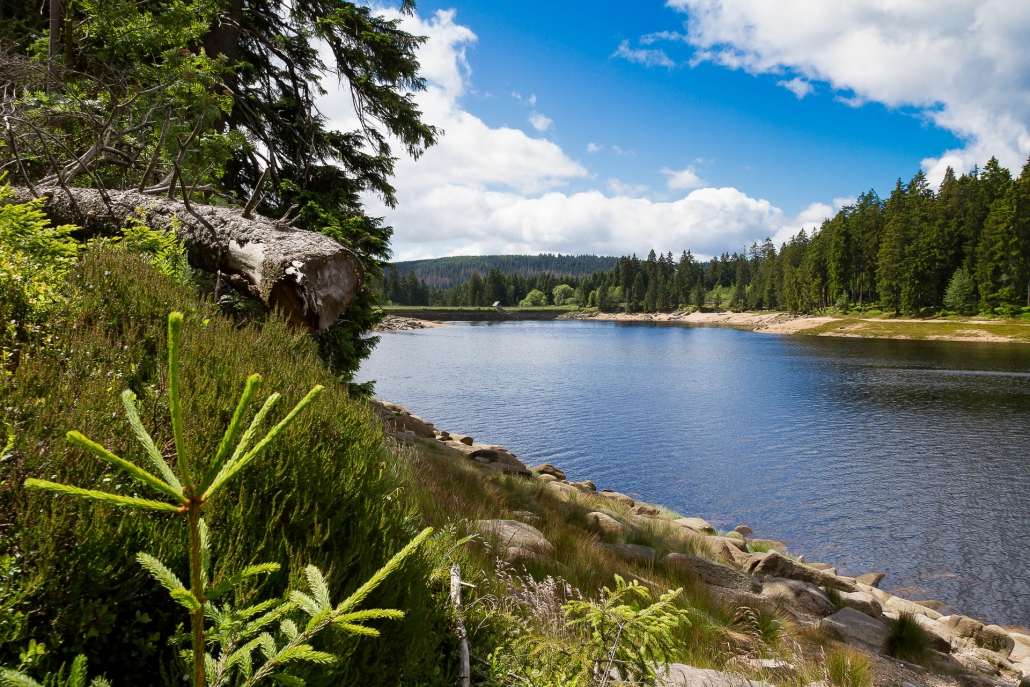 Fotowanderungen im Oberharz mit Foto-Wandern.com